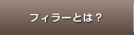 フィラーとは?